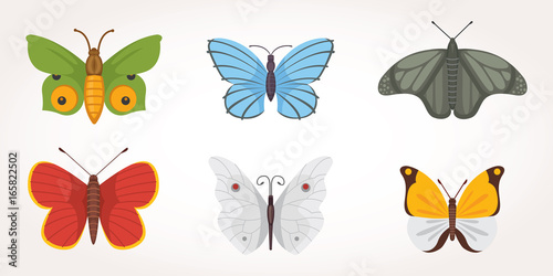 set of colorful Butterfly Vector Design Illustration. summer insect © denis08131