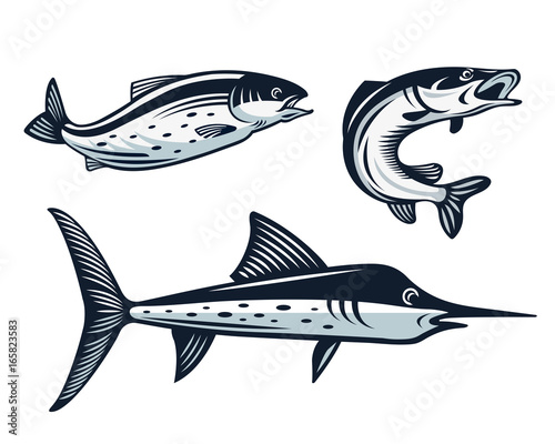 Vintage Fish Logo Set Illustration