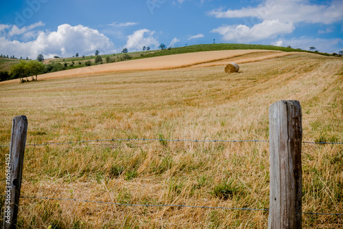 La campagne dans le Parc Naturel Régional du Pilat