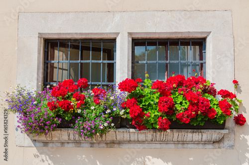An old wooden window. The facade of an English house in colors. English garden. Background. Summer. Sunny day. Flower. © AlesiaKan