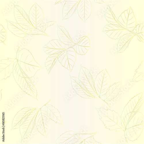 Seamless texture contour branches with leaves of roses vintage vector editable illustration hand draw