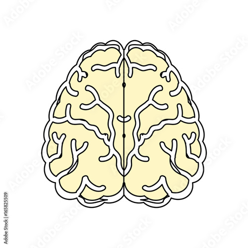 Human brain symbol