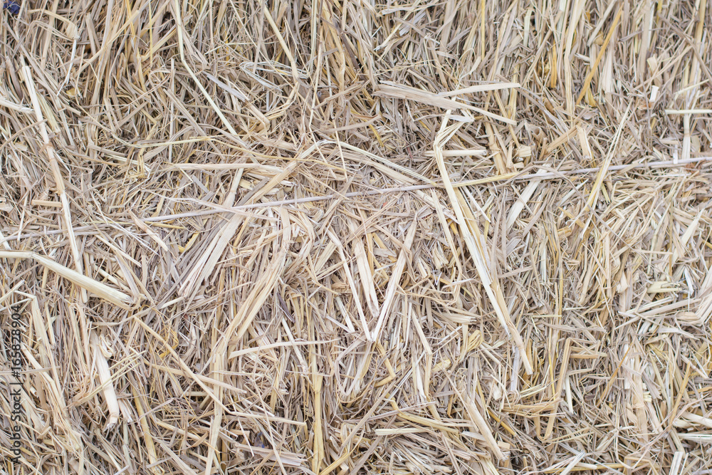 Dry straw closeup for background and Textured. Dry straw closeup for background and Textured.