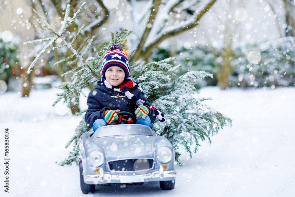 Funny little smiling kid boy driving toy car with Christmas tree