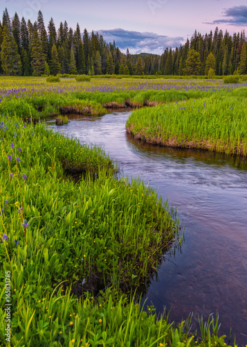 Packer Meadows at Lolo Pass on the Idaho/Montana border