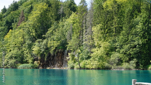 Fototapeta Naklejka Na Ścianę i Meble -  lake and forest