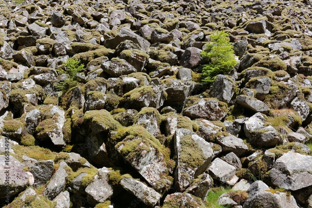 Scree slope texture background with moss covered rocks