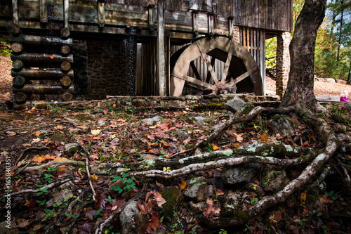 Water wheel and roots in the fall