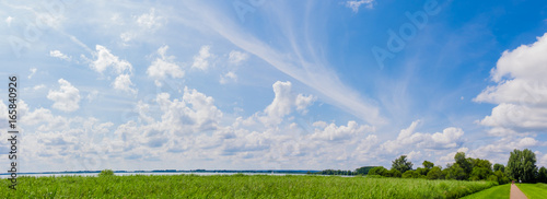 Canvas Print Green field under blue clouds sky