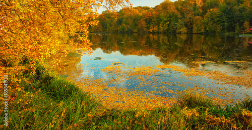 Nice autumnal scene with lake