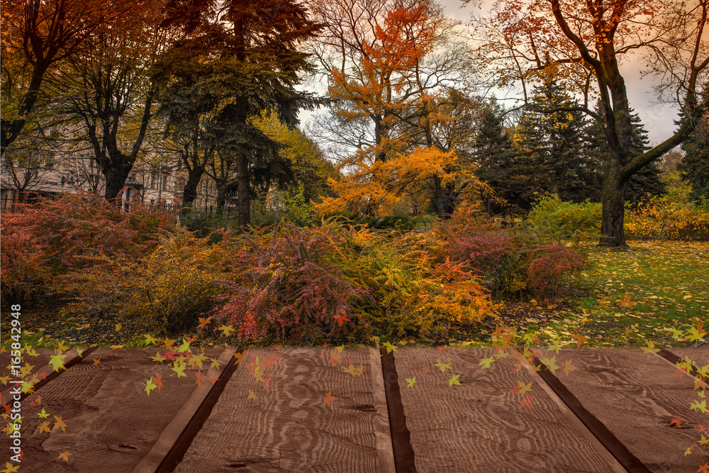 Naklejka premium Autumn landscape and desk space