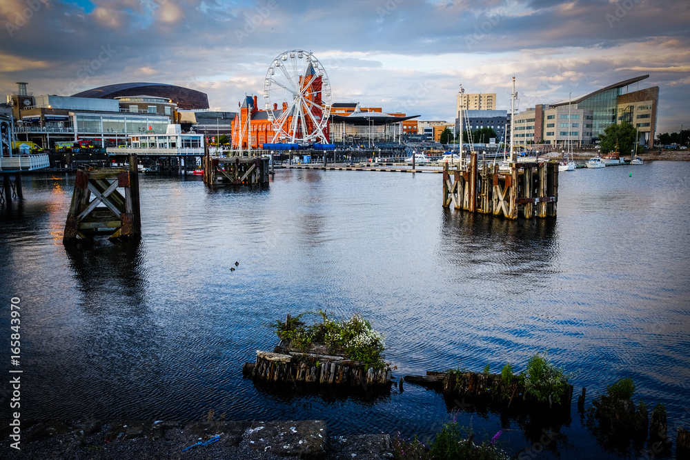 Cardiff Bay view