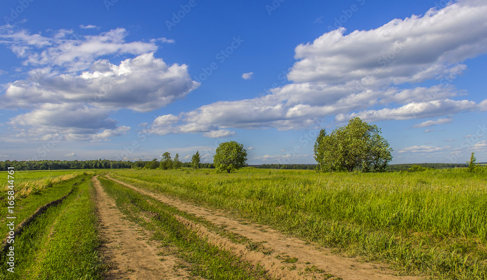 Field road disappearing into the sky