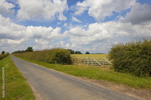 country road and gate
