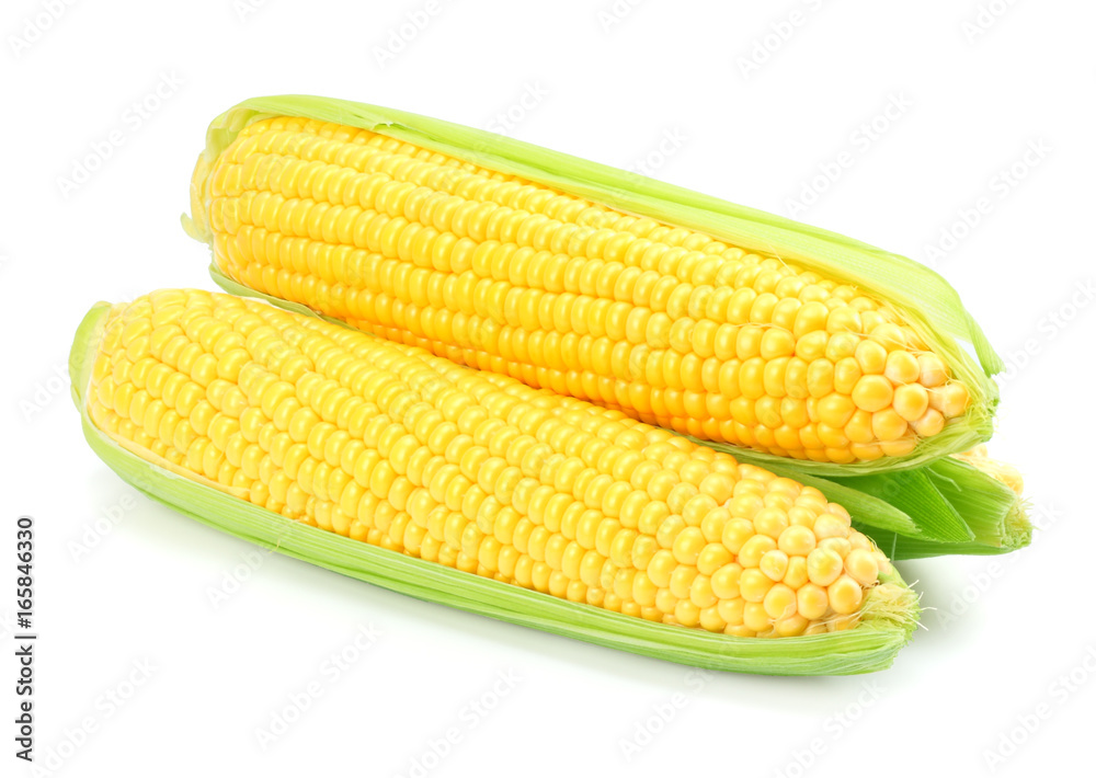 Fresh corn on cob isolated on white background Fresh corn on cob isolated on white background