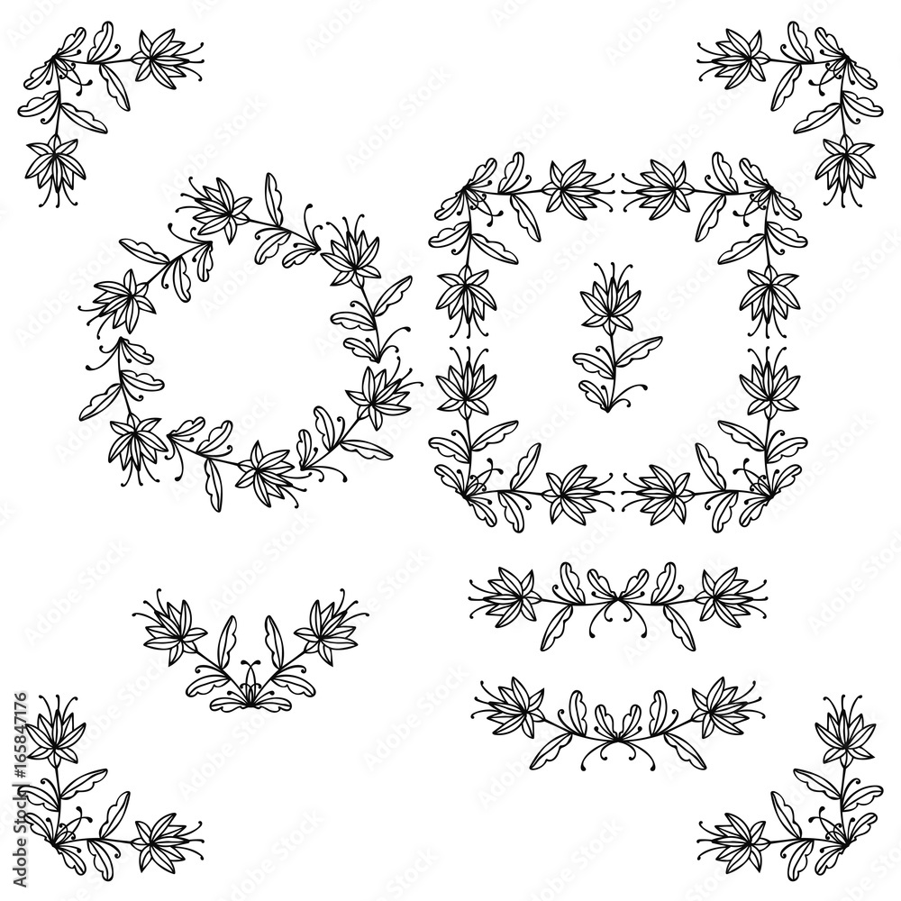 Set of black thin line doodle floral elements with flowers branches and leaves isolated on white background. Vector illustration.