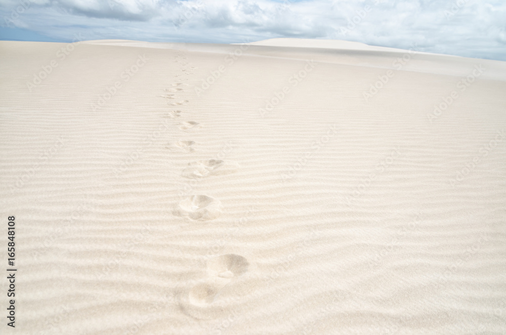 Trace of footprints on the sand in the desert Trace of footprints on the sand in the desert