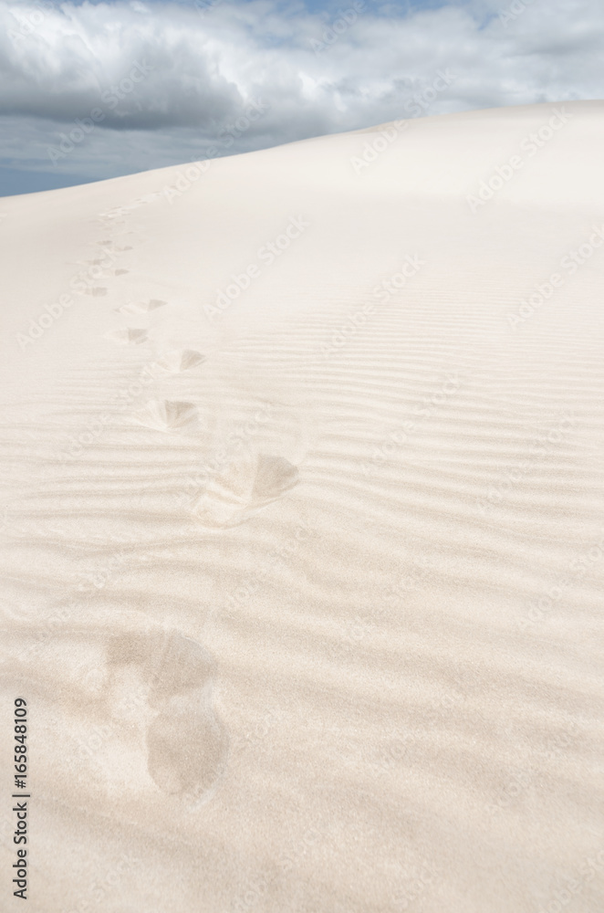 Trace of footprints in the sand Trace of footprints in the sand