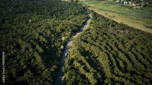 awesome aerial view modern car mooving on road between trees