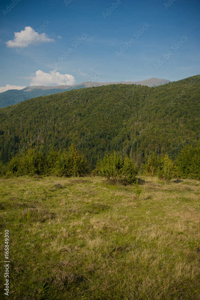 Obraz premium Mountain Landscape