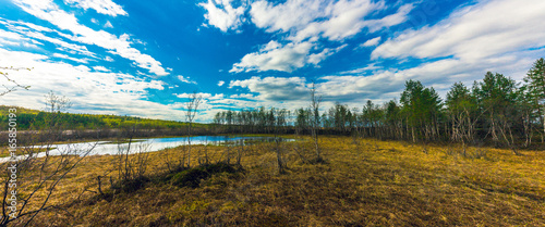 Spring landscape.Panorama of marshland in spring forest
