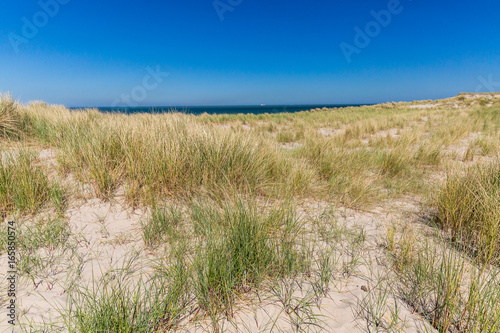 Artifical Maasvlaktestrand beach built for the Europoort Rotterdam