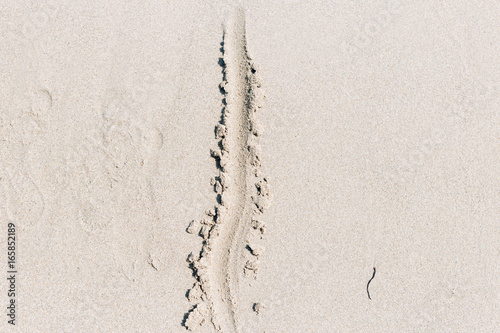 The line on the yellow sand