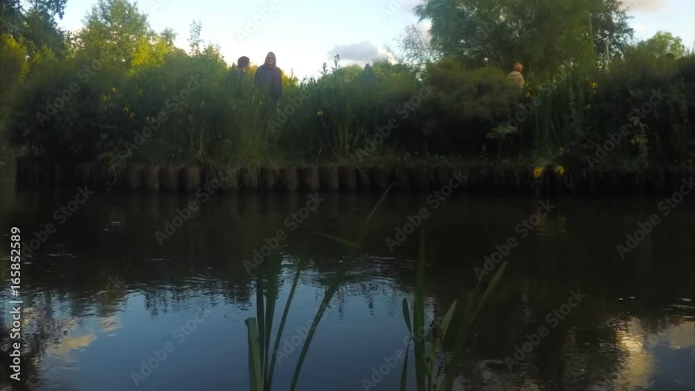 Flowers and trees on river bank timelapse