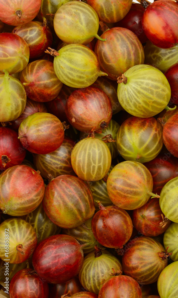 Top view of the green and red gooseberry fruit.