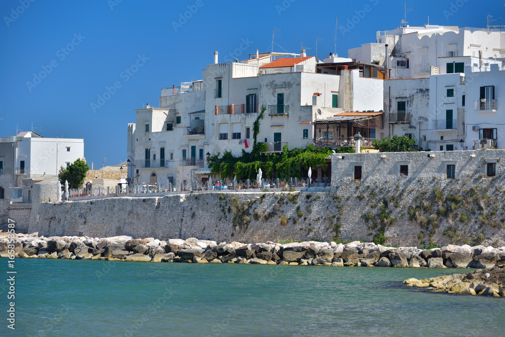 Fototapeta premium View at the houses from the coast of Vieste on a sunny day, Puglia region, Italy