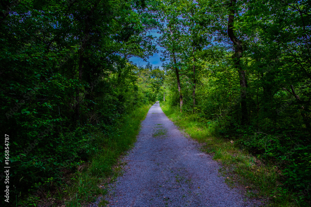 Obraz premium der Weg