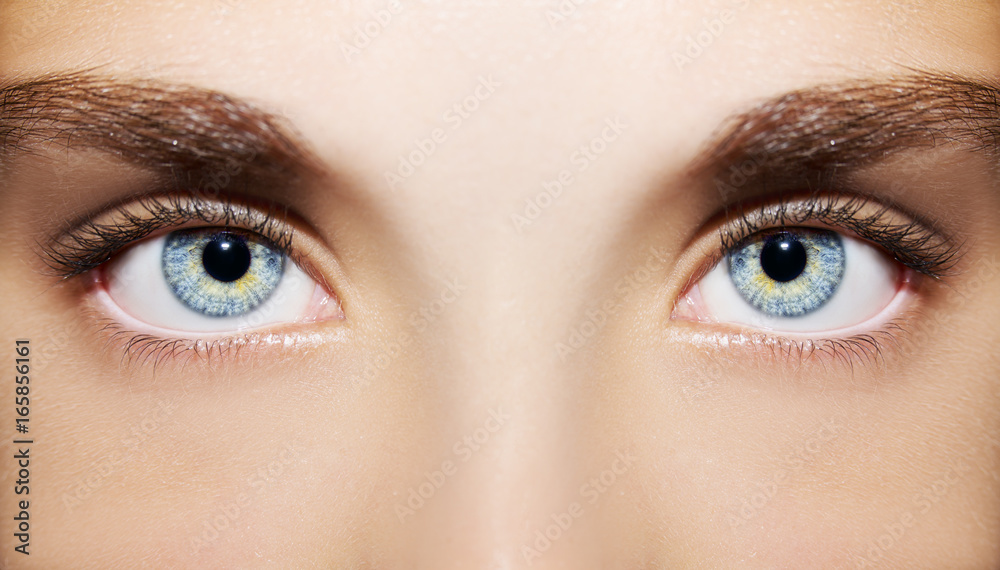 Fototapeta premium Piękny wnikliwy wygląd oczu kobiety. Bliska strzał