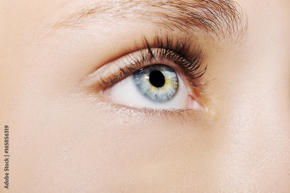 A beautiful insightful look woman's eye. Close up shot A beautiful insightful look woman's eye. Close up shot