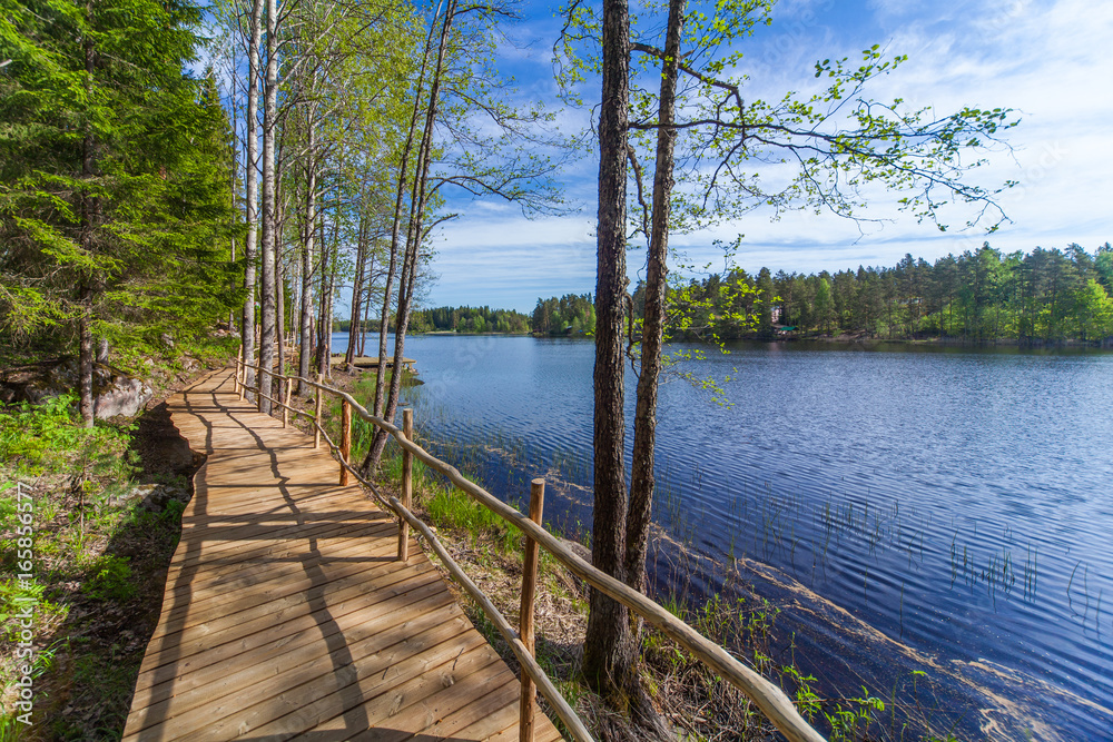Wooden paths along the lake in the spring forest of Karelia Wooden paths along the lake in the spring forest of Karelia