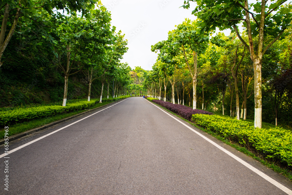 Obraz premium The beautiful road is surrounded by greenery