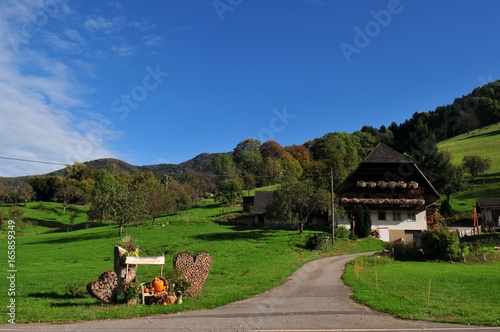 Schwarzwaldhof Black forest farm house photo