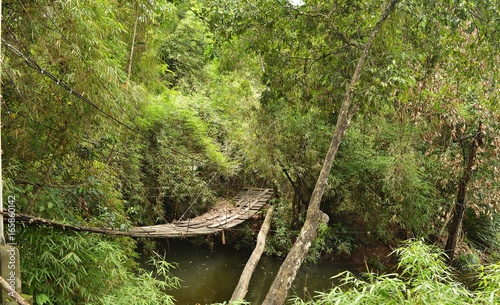 An old suspension bridge for crossing a stream of rainforest has a natural backdrop.