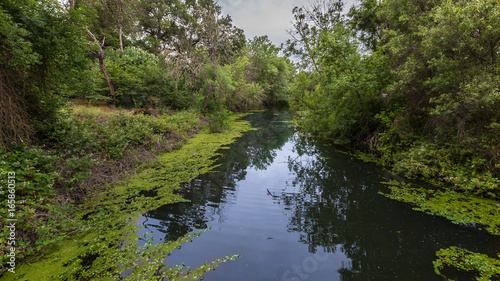 Lake Inlet