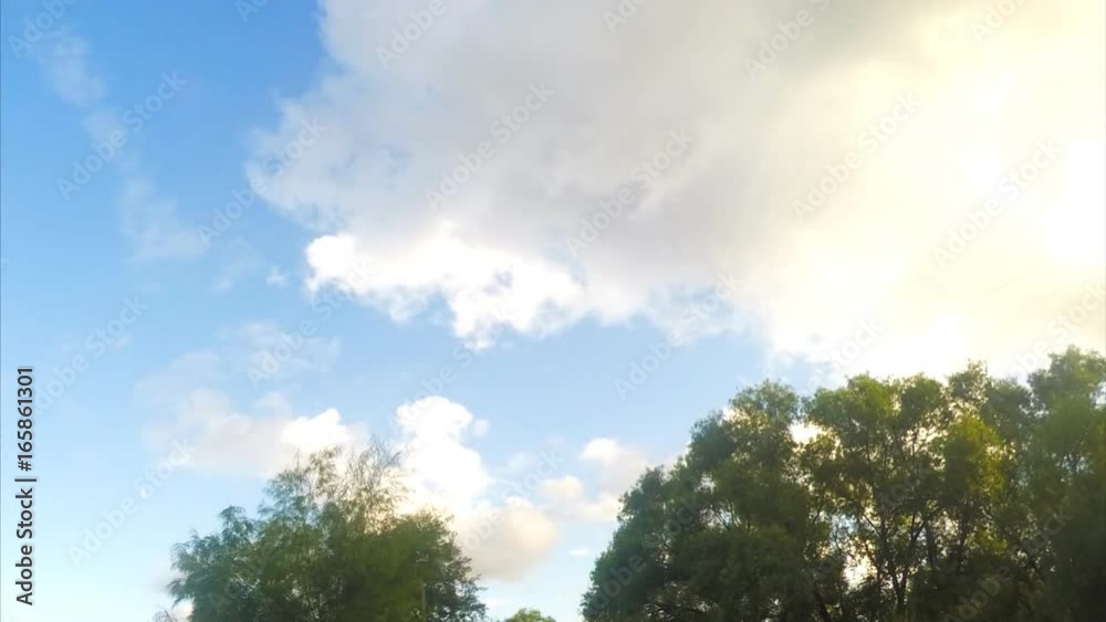 Clouds at sunset over trees in park timelapse Clouds at sunset over trees in park timelapse