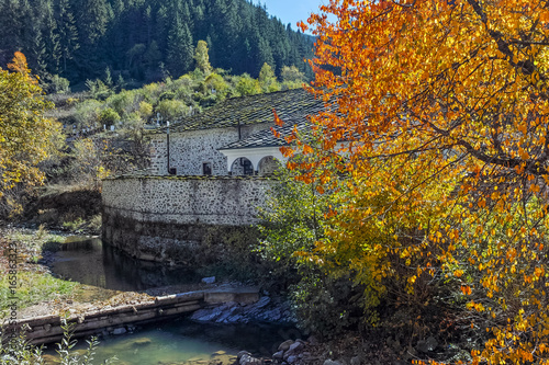 19th century Church of the Assumption  river and Autumn tree in town of Shiroka Laka  Smolyan Region  Bulgaria