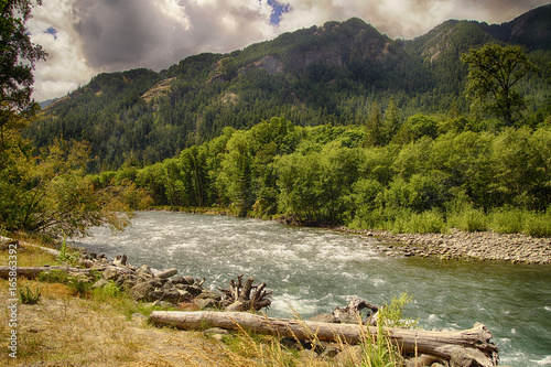 Driftwood on     the Elwha River photo