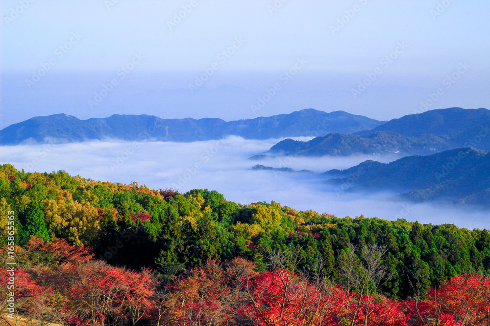 Obraz premium 雲海