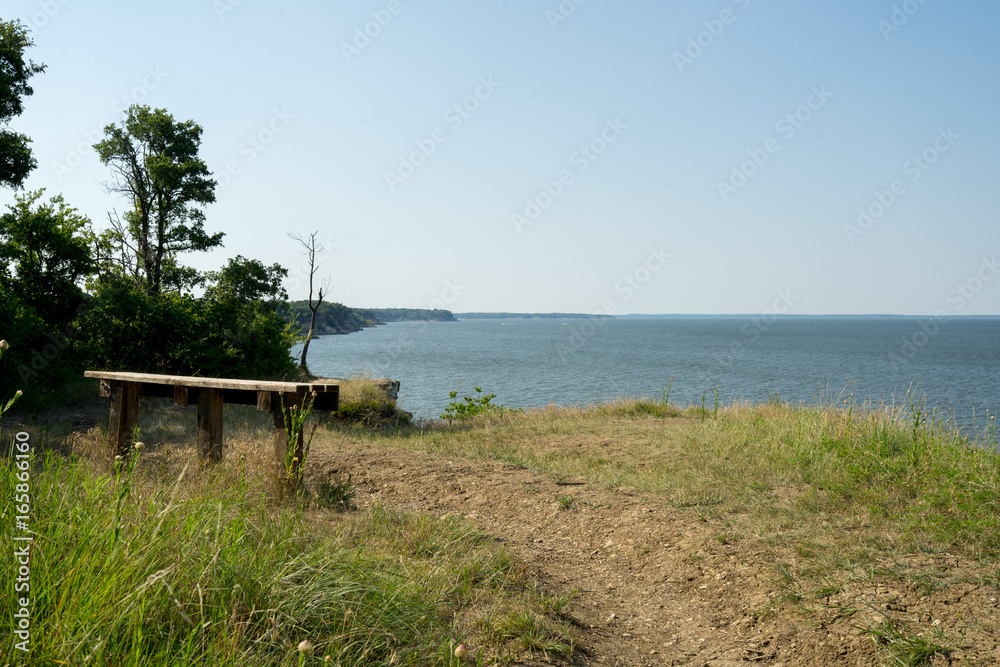 Bench on the shore of the lake on a summer day