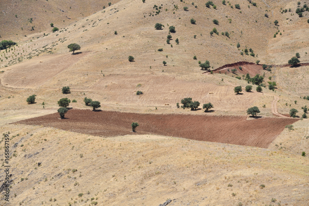 Obraz premium Kurdistan