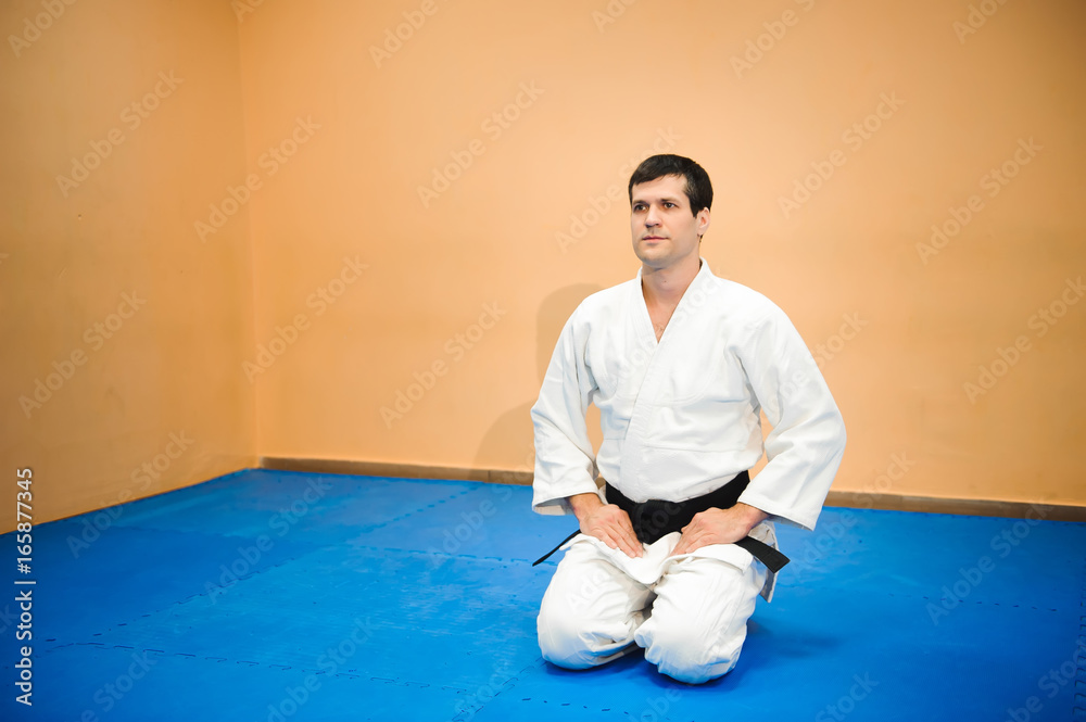 man practicing aikido man practicing aikido