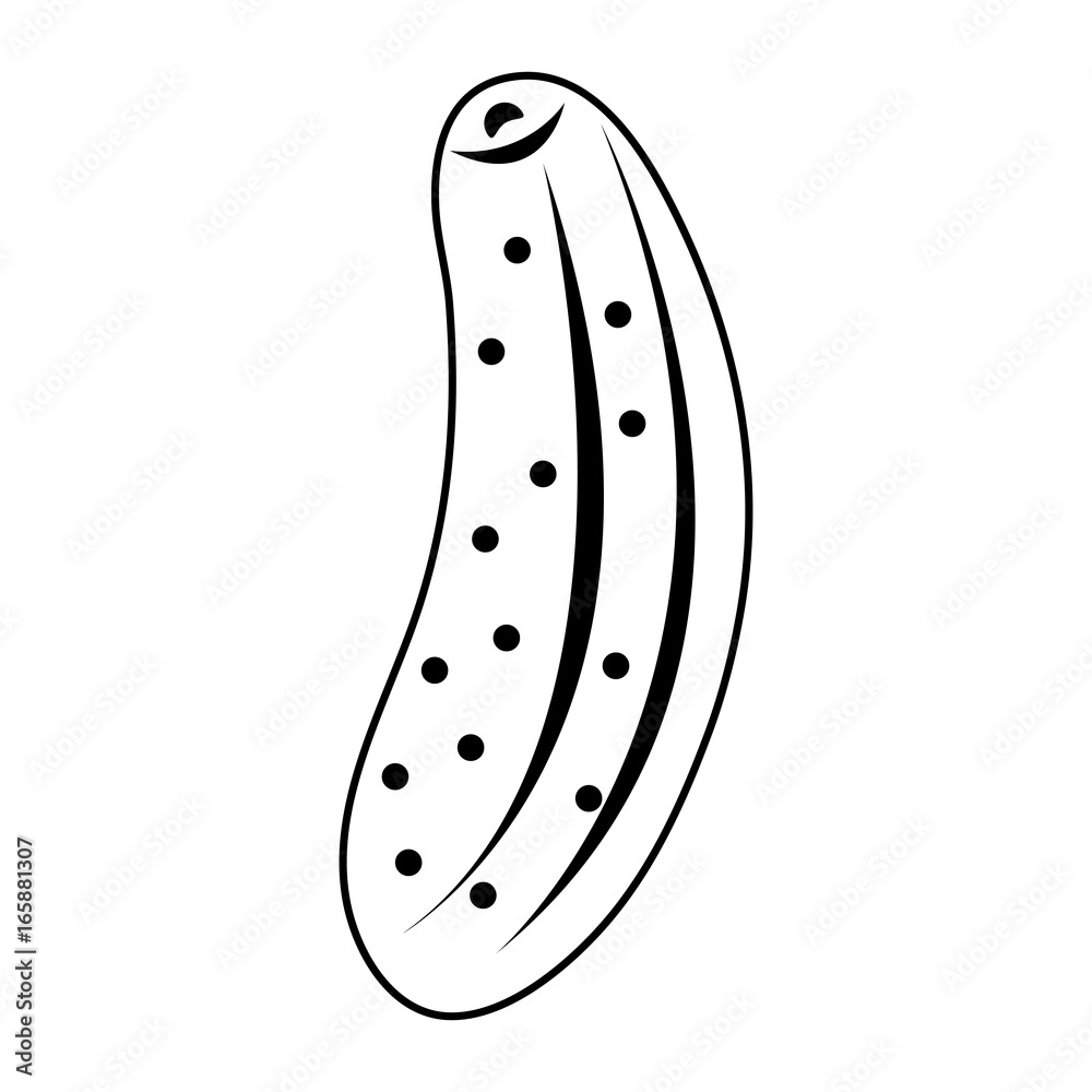 cucumber vegetable icon image cucumber vegetable icon image