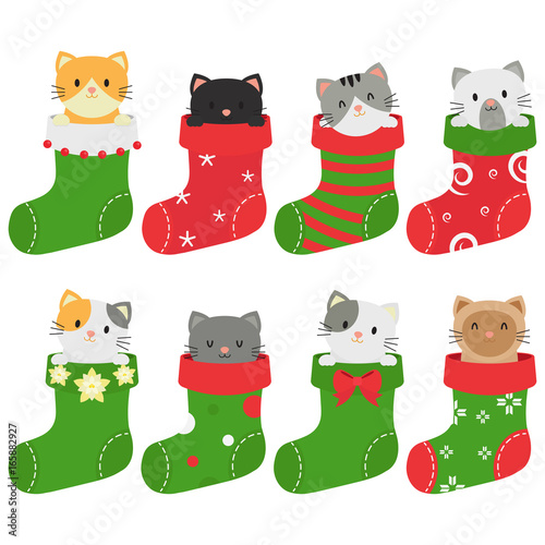 Cats In Christmas Stockings