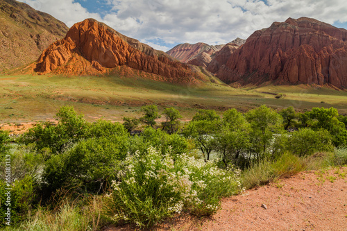 Landscape of colored mountain near Kokemeren river, Kyzyl-Oi, Kyrgyzstan photo