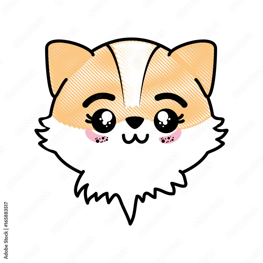 Fototapeta premium isolated cute fox face