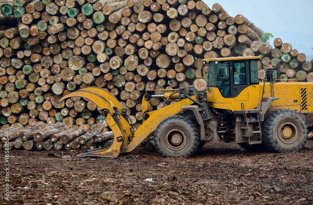 Wood processing factory Wood processing factory